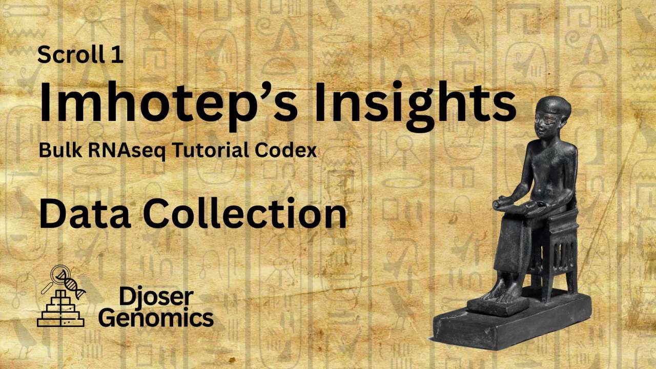 Scroll 1: Imhotep's Insights